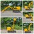 Komatsu P09 (33).jpg