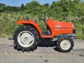Kubota X20D