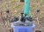 Komatsu PC10MR