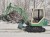 Komatsu PC30