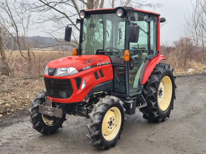 Yanmar EG437D