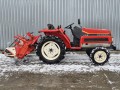 Yanmar F215D